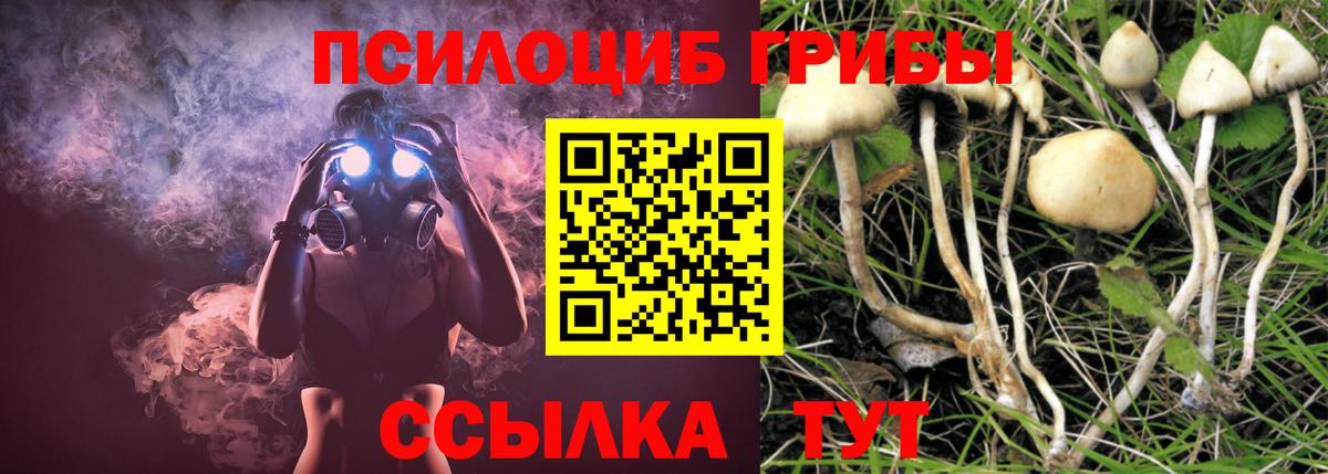 Псилоцибиновые грибы прущие грибы  Галлюциногенные грибы прущие грибы  Вход с VPN  Менделеевск 